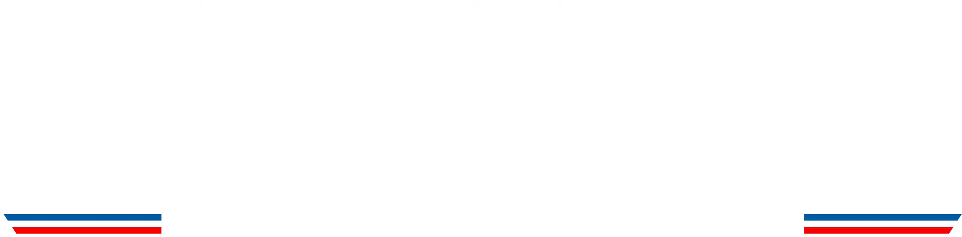 LOGO vedette CHINON BLANC